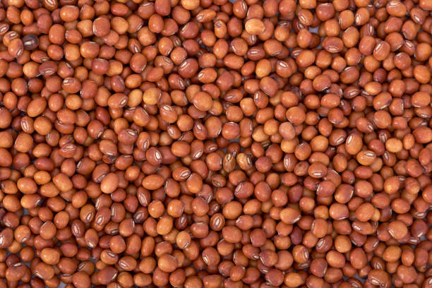 Pigeon Peas